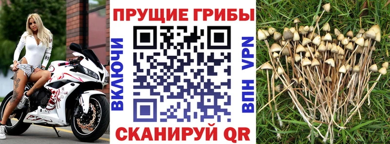 Псилоцибиновые грибы прущие грибы  Севастополь 