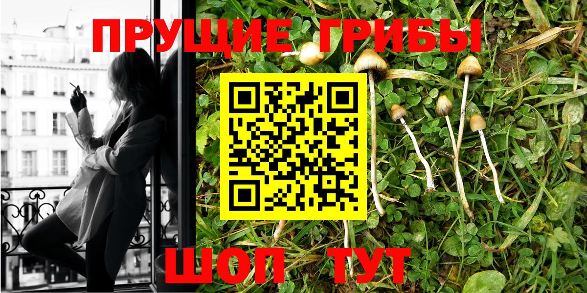 Севастополь  Галлюциногенные грибы мухоморы  Вход с VPN 
