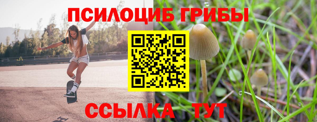 Псилоцибиновые грибы Psilocybe Севастополь